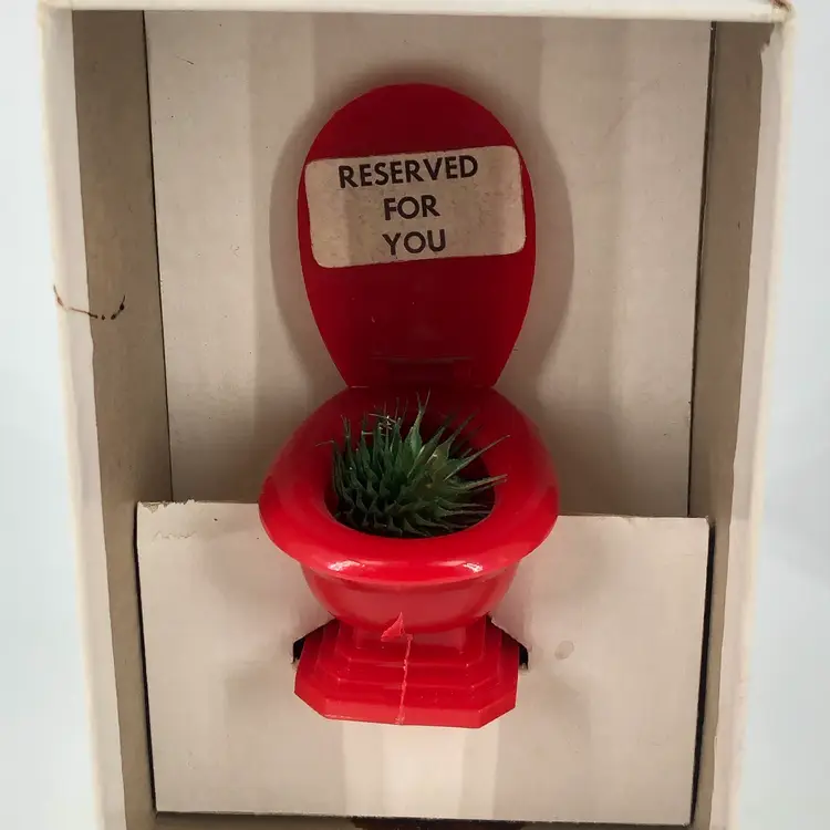 Vintage Gag Gift “Reserved For You” Toilet with Cactus Gift