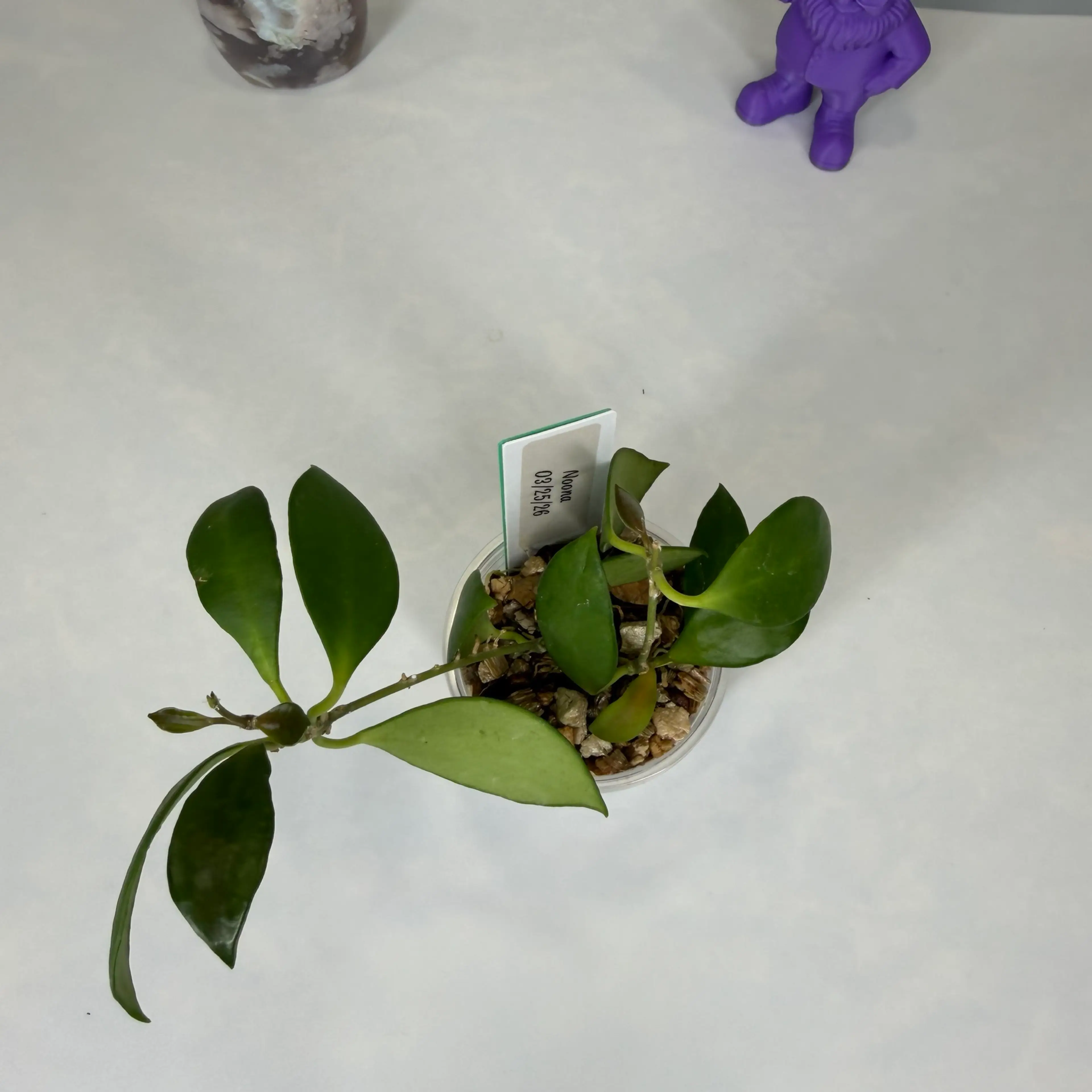 Image 3 of 3