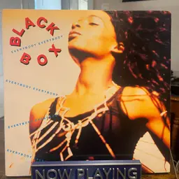 41 Black Box- Everybody Everybody 12”