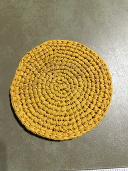 Mustard Yellow Braided Trivet/Hot Pad