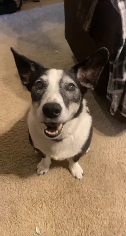 Randi Fields (Your Mom’s Vintage Treasures)