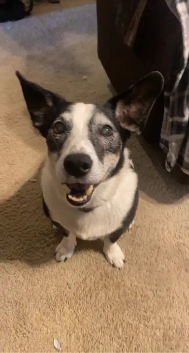 Randi Fields (Your Mom’s Vintage Treasures)