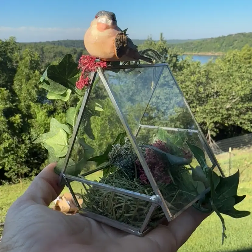Bird House Terrarium 4” - Call Out On Beak