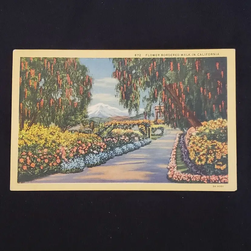 Postcard Flower Bordered Walk in California unused unposted Vintage