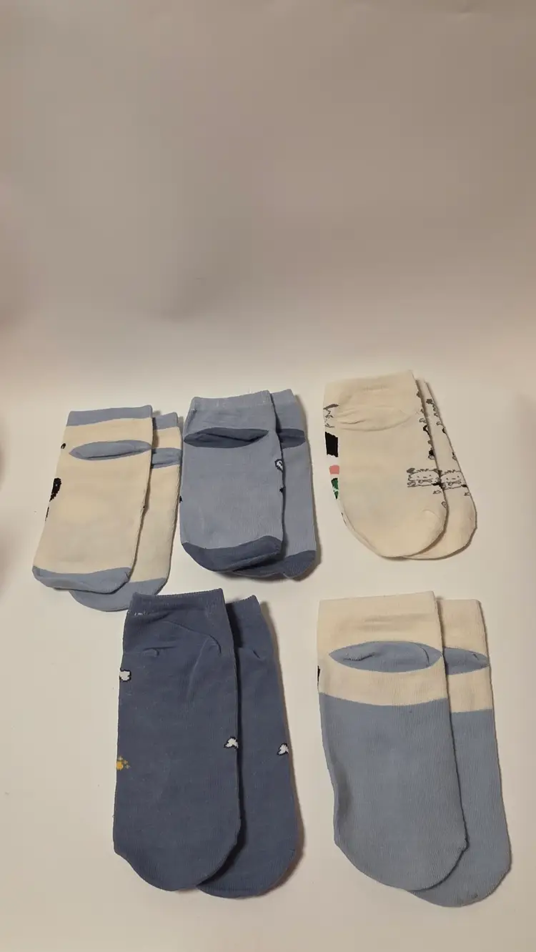 Pochacco Short Socks 5 Pairs No Duplicates Sanrio Hello Kitty And Friends Blue