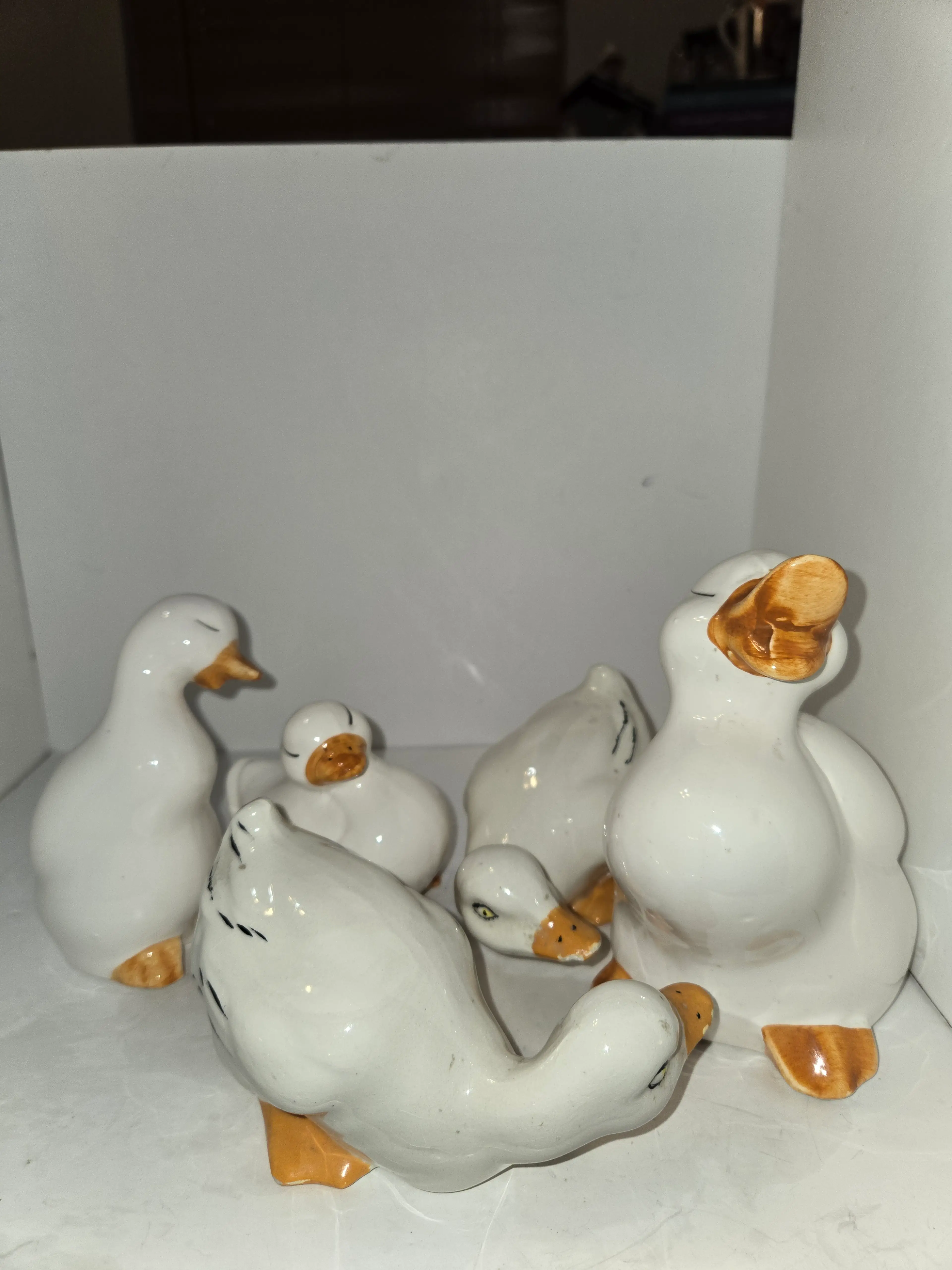 Image 5 of 5