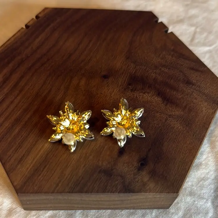 Pierced Rhinestone Star Earrings