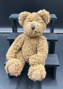 Boyd’s Bear, shaggy brown. No hanging tag. Love the face.