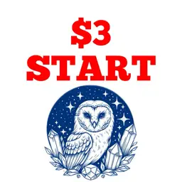 #41 - $3 Start