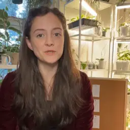 Emily’s “Killa” Rooting Kit