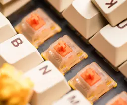 Gateron EF Curry Linear Switches 18 Packs (Open Box)