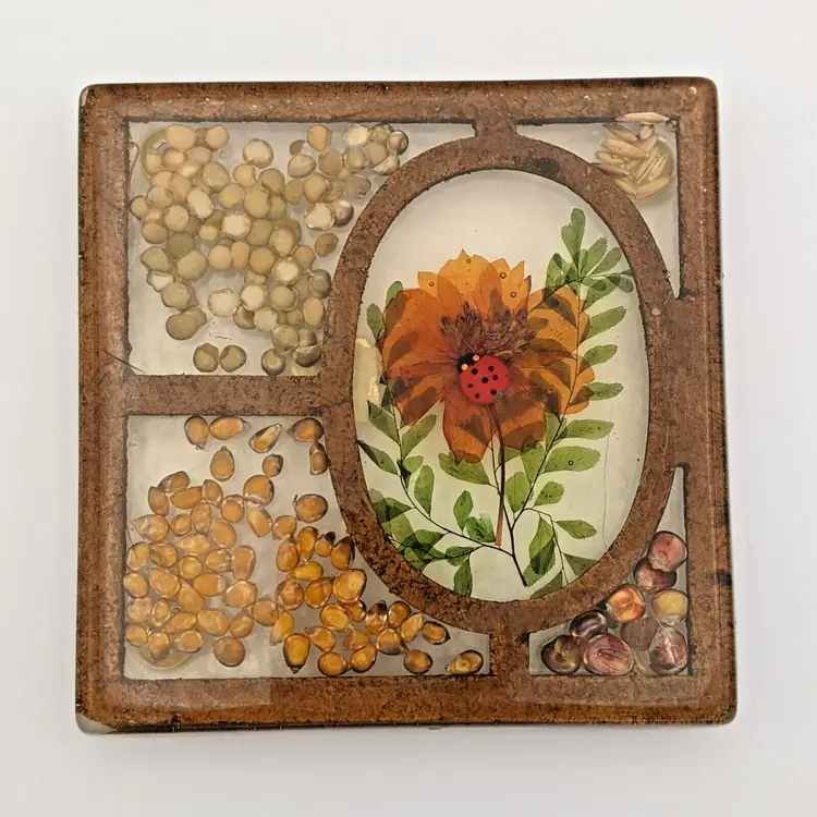 Vtg 1970s Lucite Acrylic Resin Orange Flower Ladybug Seeds Trivet Design Gifts