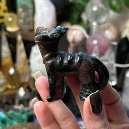 Houndoom Pokémon Garnet 22a