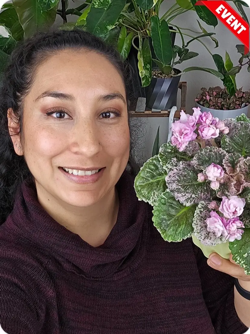 Livestream thumbnail