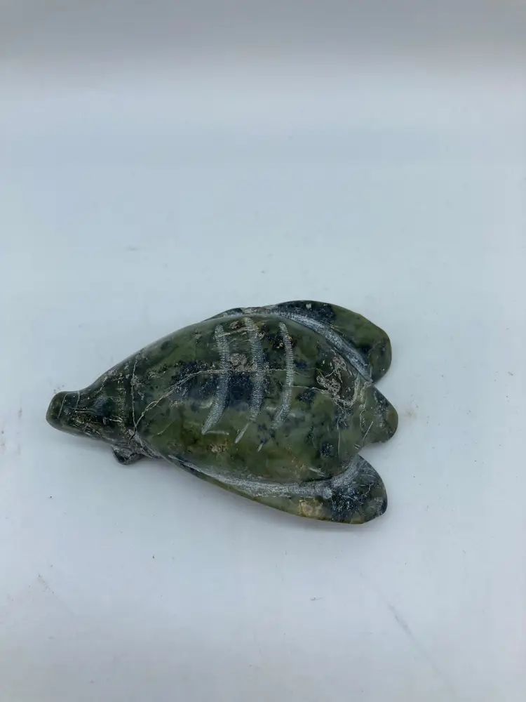 Stone Cicada? Bug, China