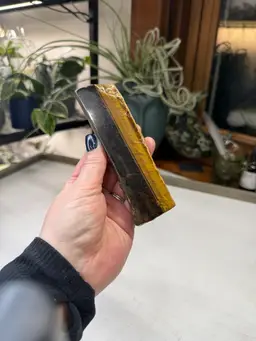 Tiger Iron Slab - TIS11