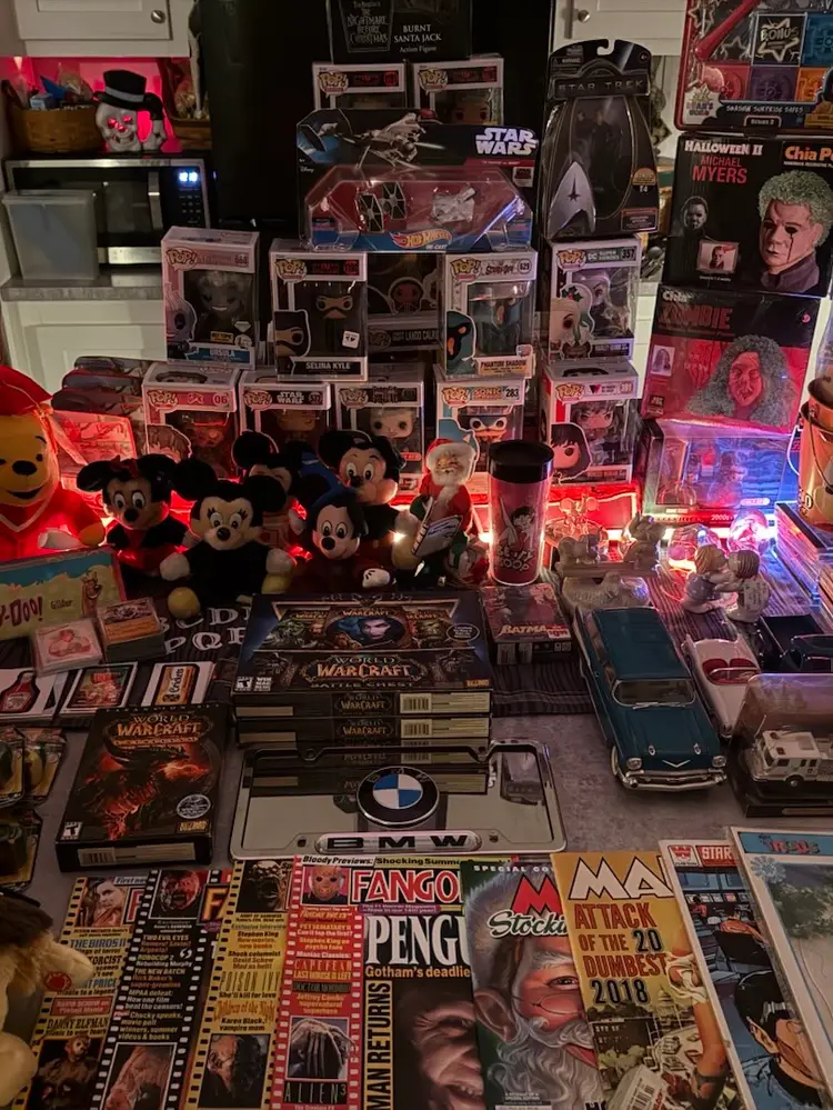 Disney+ vintage Disney+, rock CDs, heavy metal, CDs action figures, Funko pops, horror, magazines, too much to mention