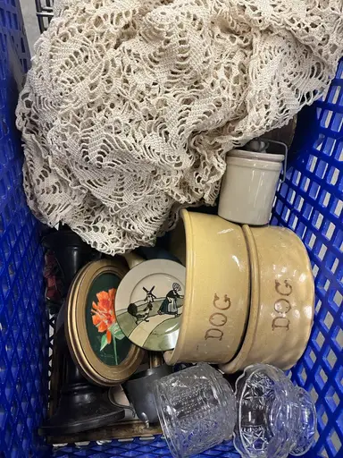 Goodwill Bins Haul!l
