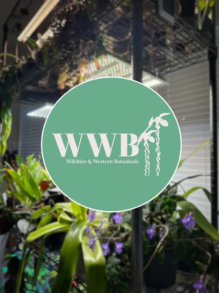 Wilshire & Western: Miniatures