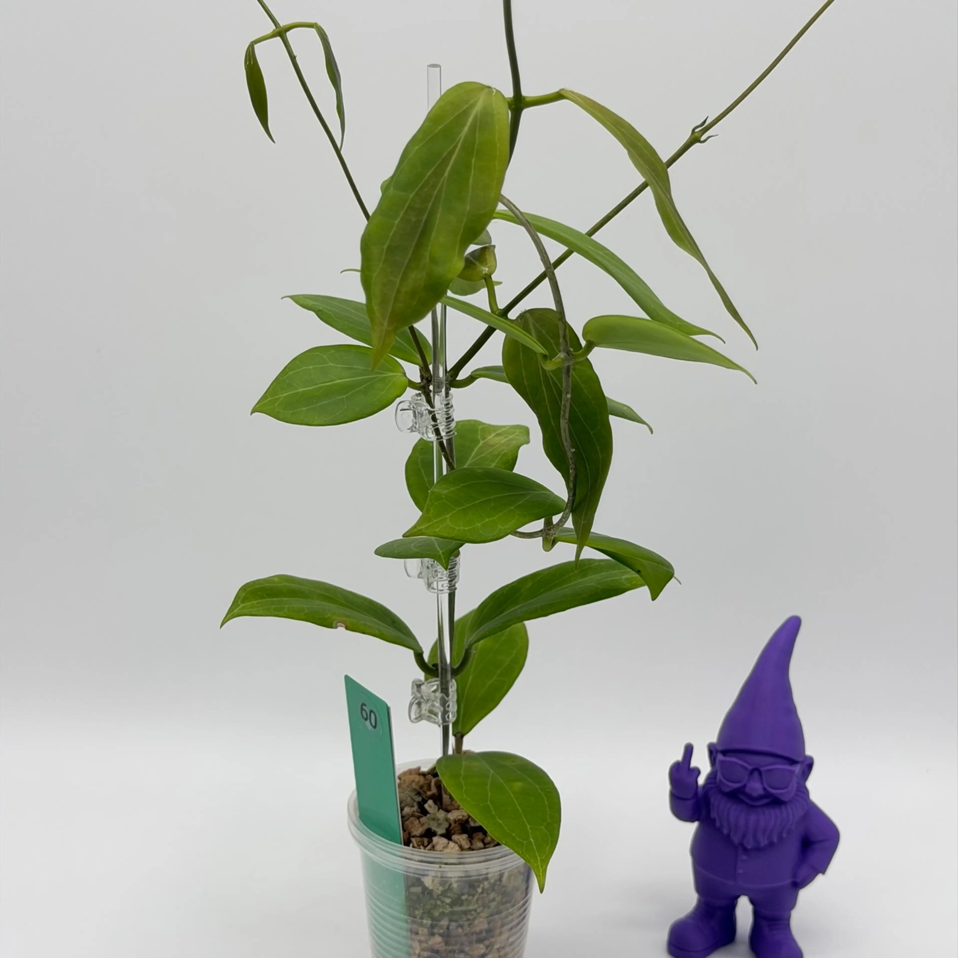 Image 2 of 3
