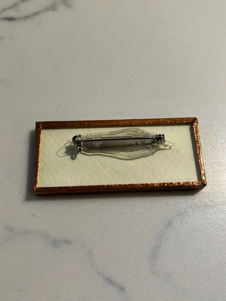 #62 Hand Made Pressed Botanical Art Flower Glass Brooch 2” 🌺