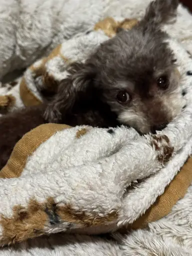 It’s A Maci & Matt Show! 