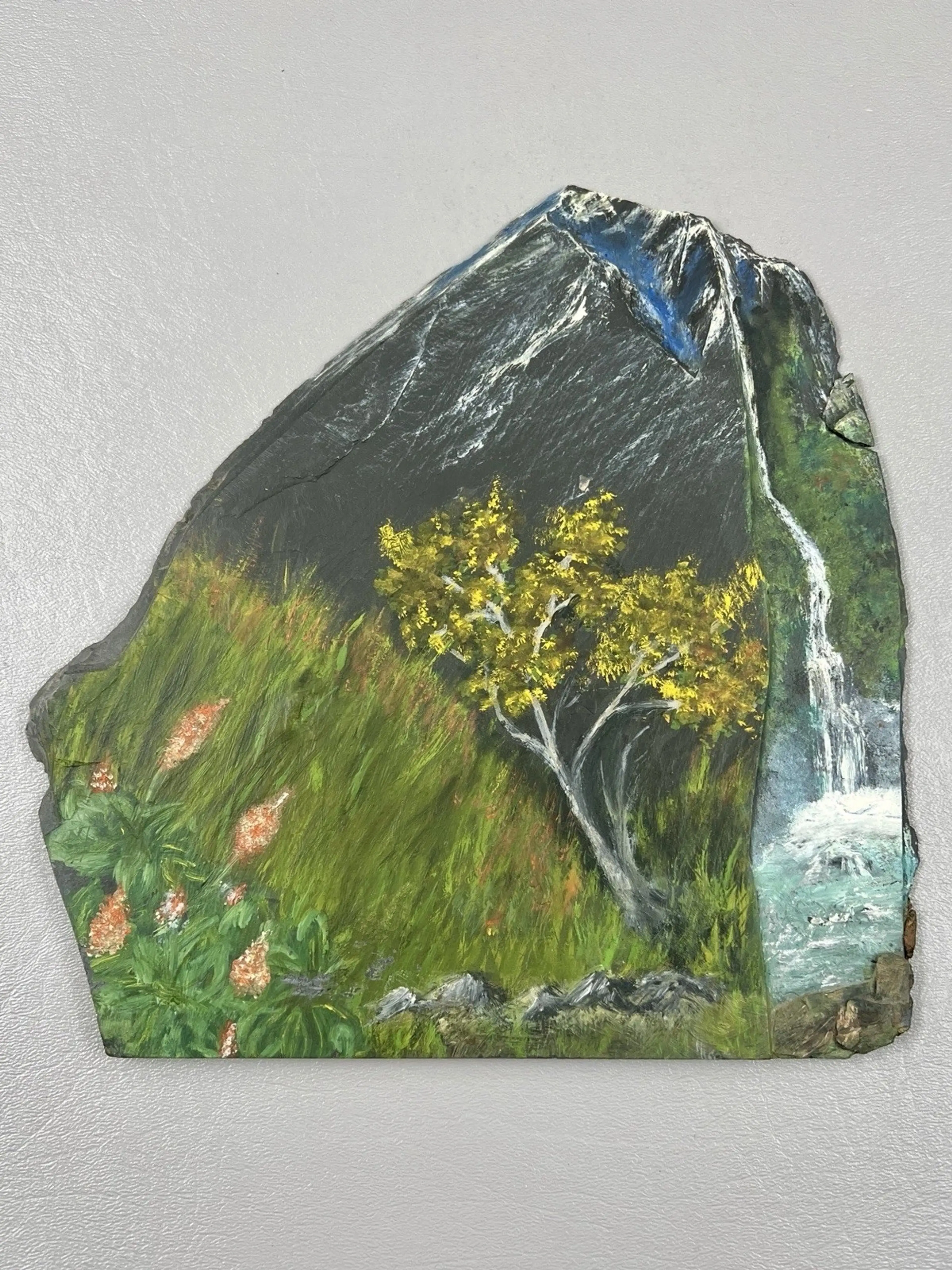 Image 2 of 7