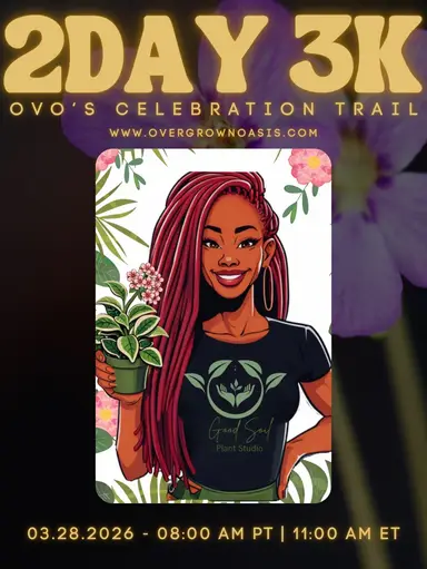 Grab your Matcha; Let’s celebrate 3K