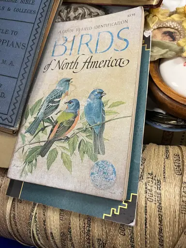 Goodwill Bins Haul!! (starting after Coffee Chat)