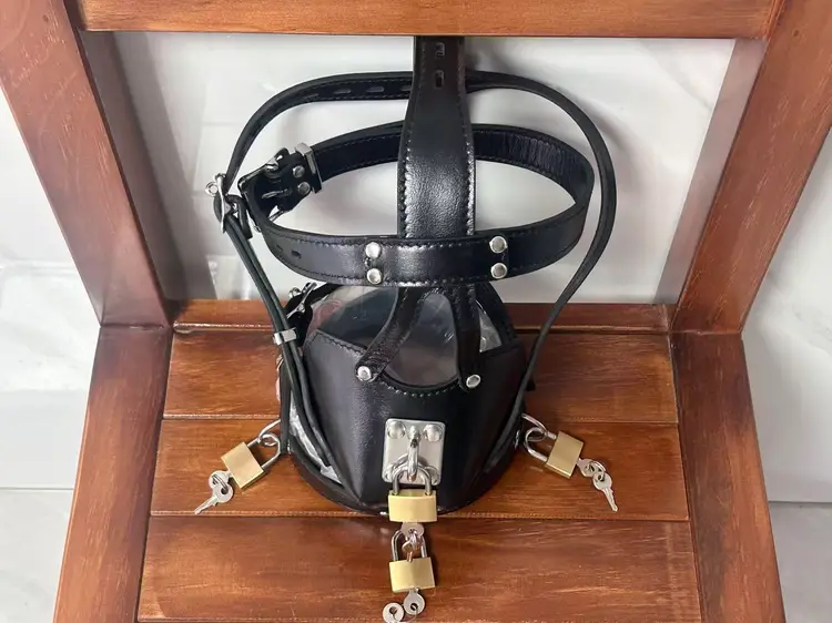 "Trainee" Leather Muzzle Harness