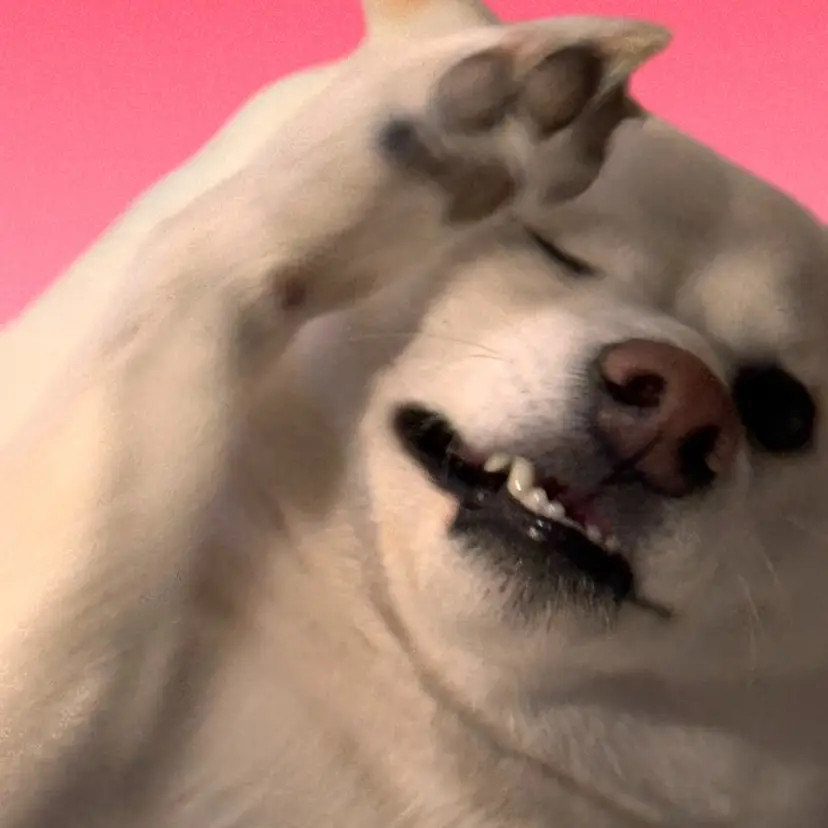 Stacked Givvy & Kimdo Givvy