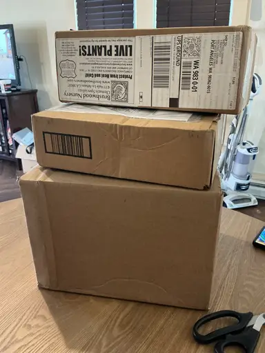 Plant Mail Unboxing