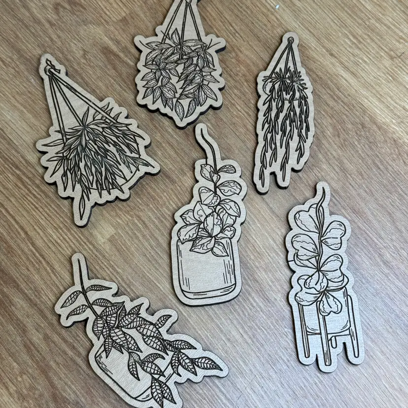 Hoya Magnet Set - 6 pack