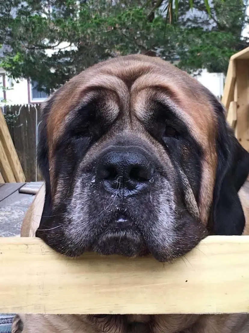 Livestream thumbnail