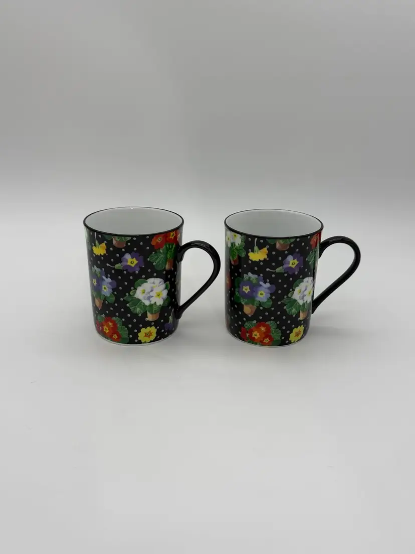 Set Of 2 Exclusive Department 56 Primrose Porcelain Coffee Cups With Handles