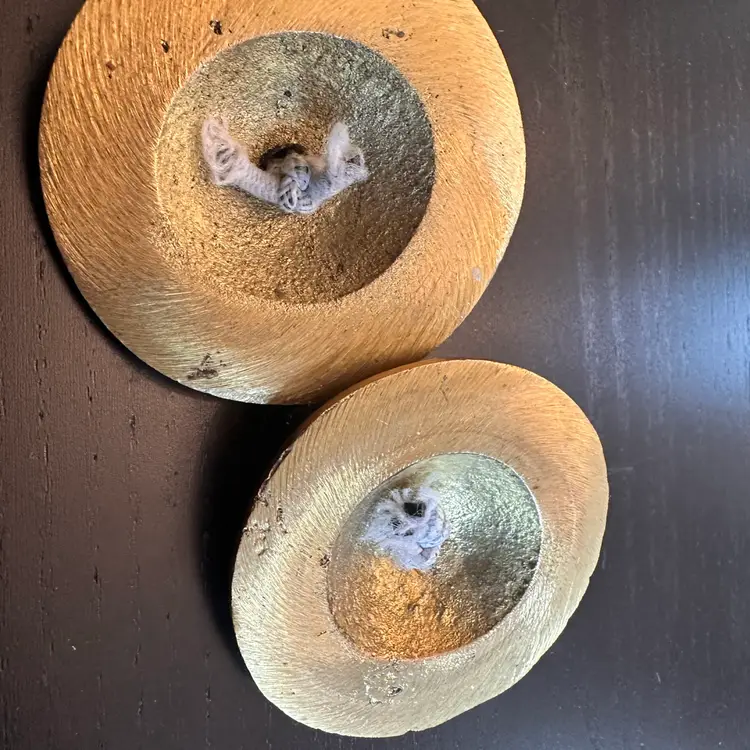 Vintage Brass Finger Cymbals