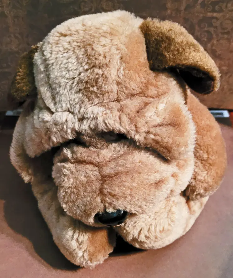 Vintage Shar-Pei Wrinkles. c.1986