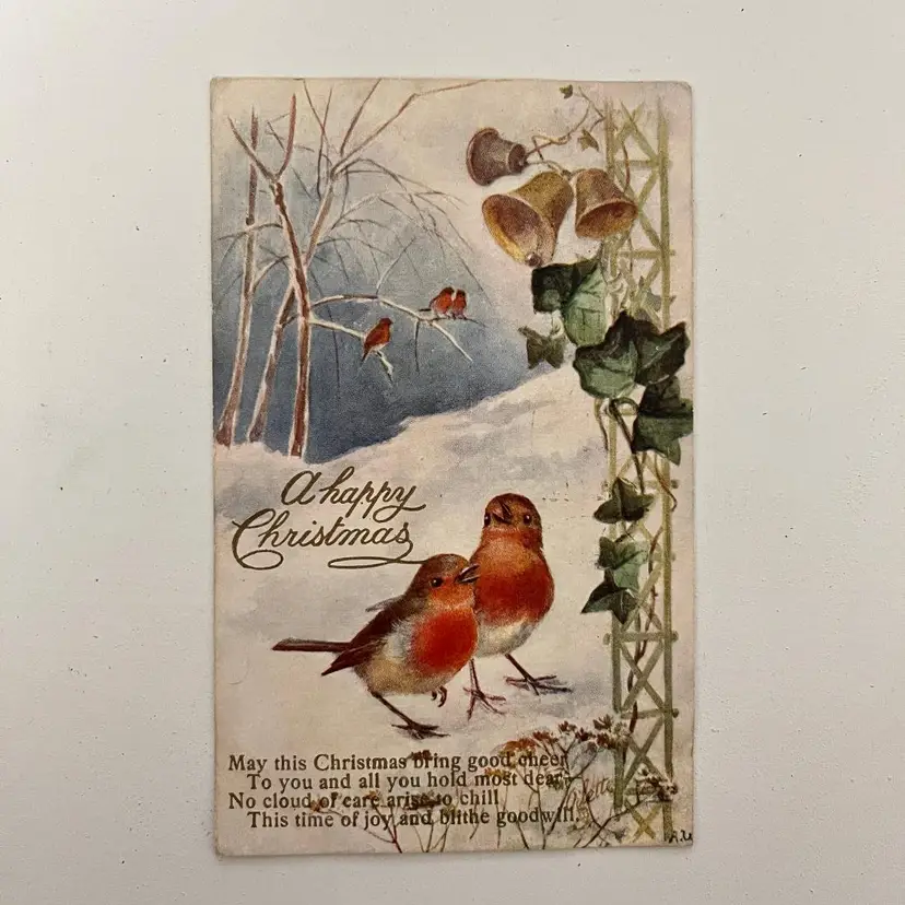 Antique 1909 Christmas Postcard Red Robin Birds Vintage Early 1900s Raphael Tuck Oilette Used