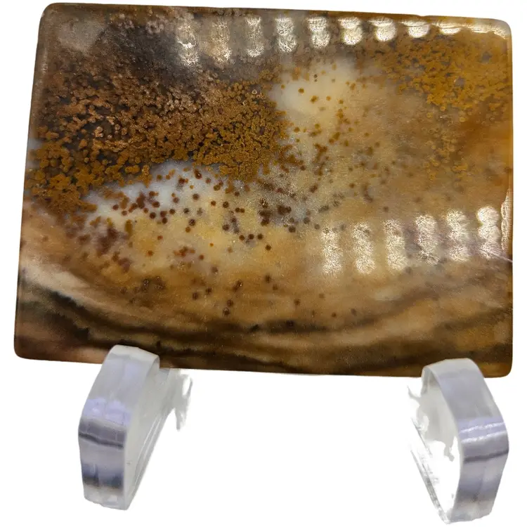 Natural Stone Belt Buckle 3"