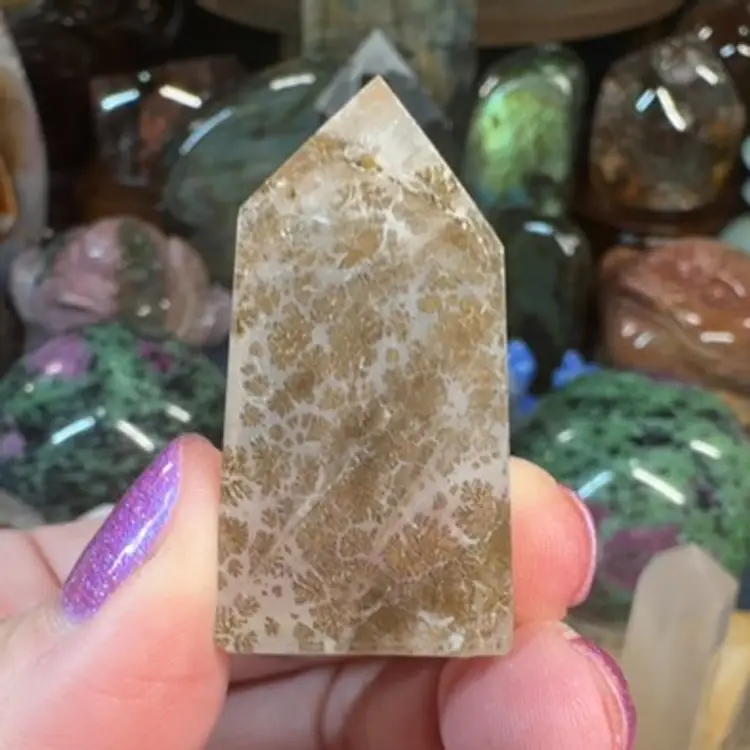 Dendritic Quartz 10D