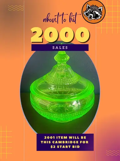 Auction Unboxing and Lets Celebrate Niknax! 🦝