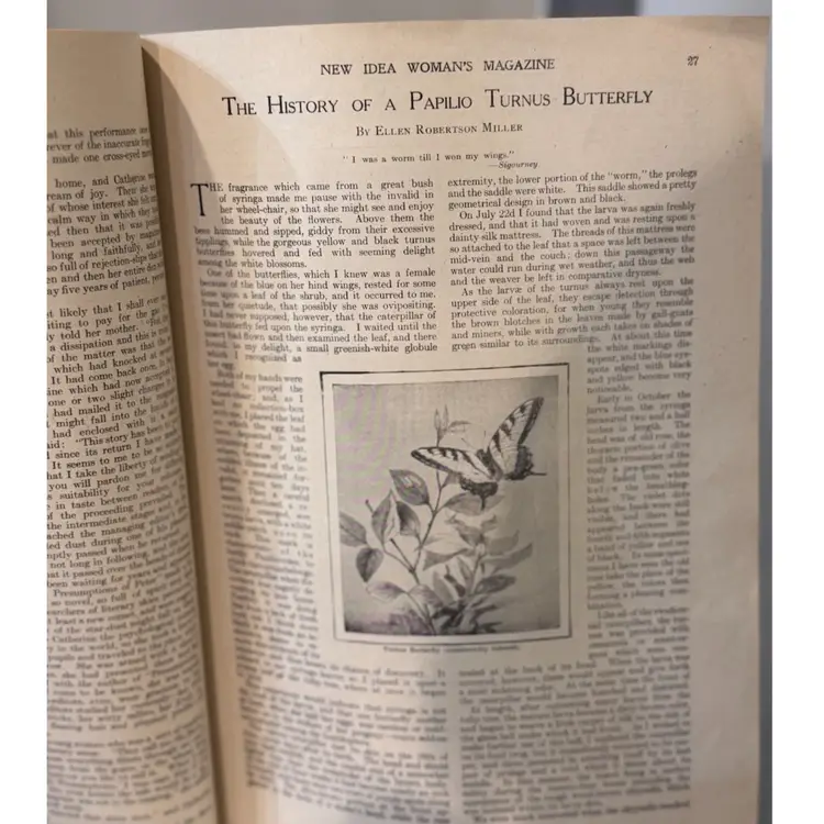 1906 Butterfly Magazine Article