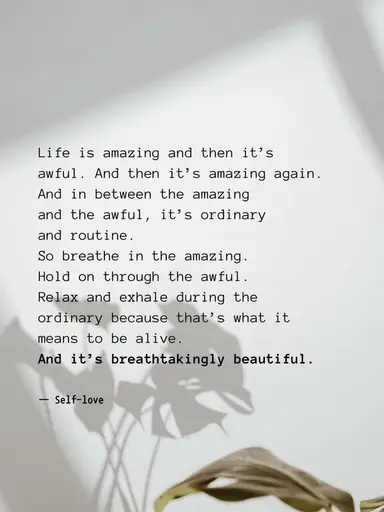 Late Night Clearance- Lowest Prices Yet 