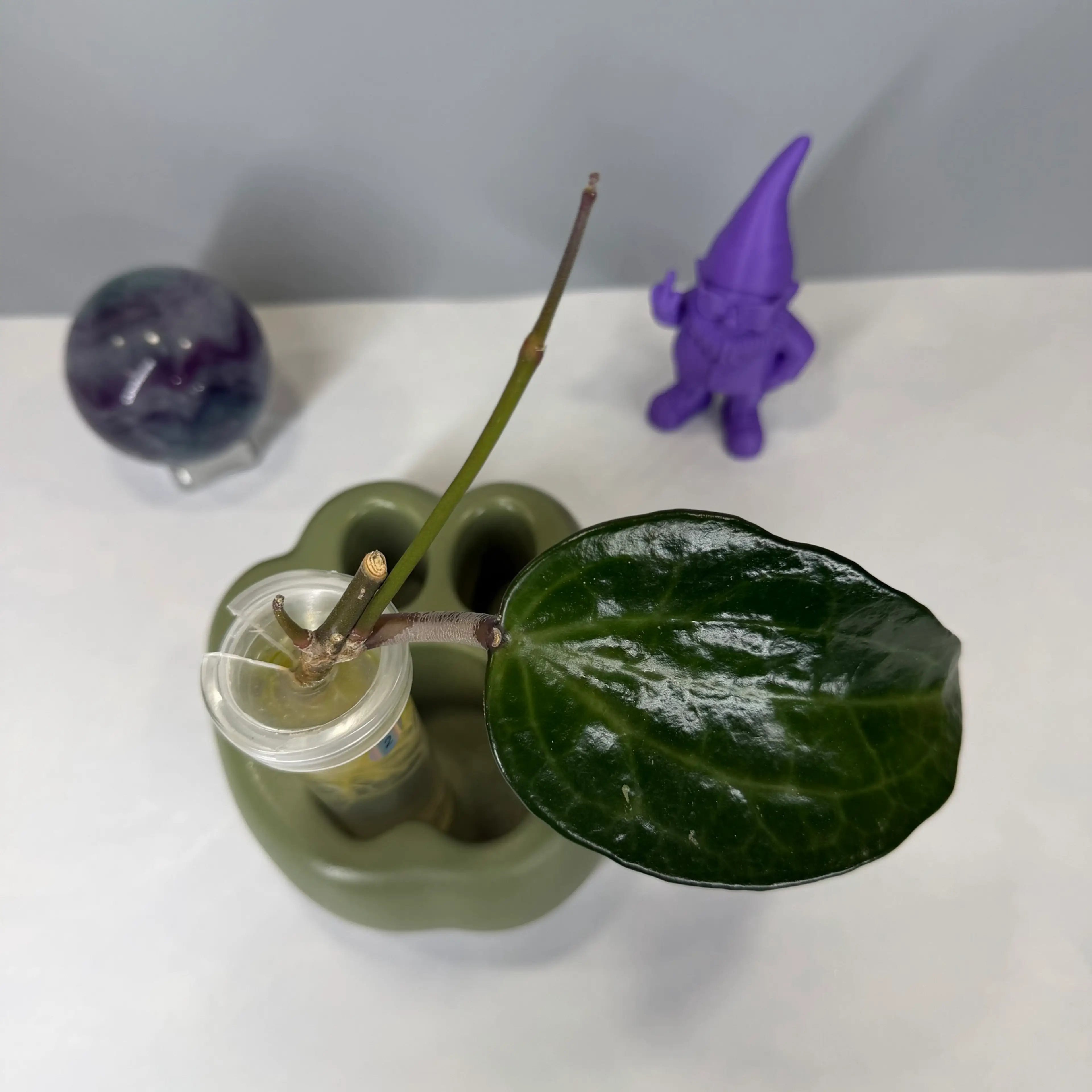 Image 2 of 2