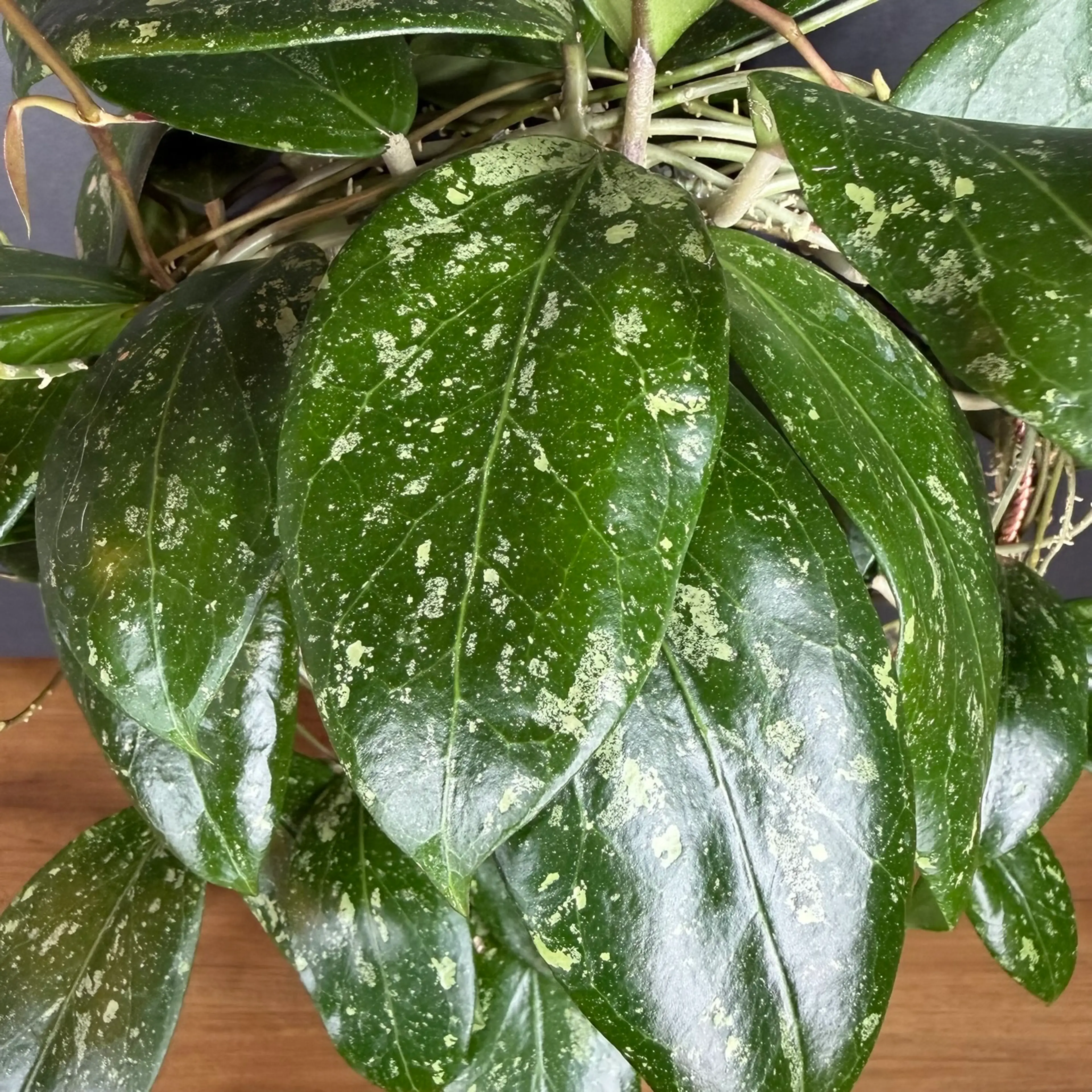 Image 3 of 29