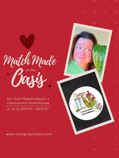 Love Grows Here: Carnivorous Plants Edition