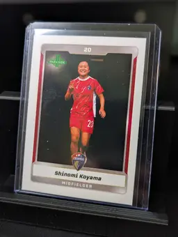 Shinomi Koyama SP Image variation