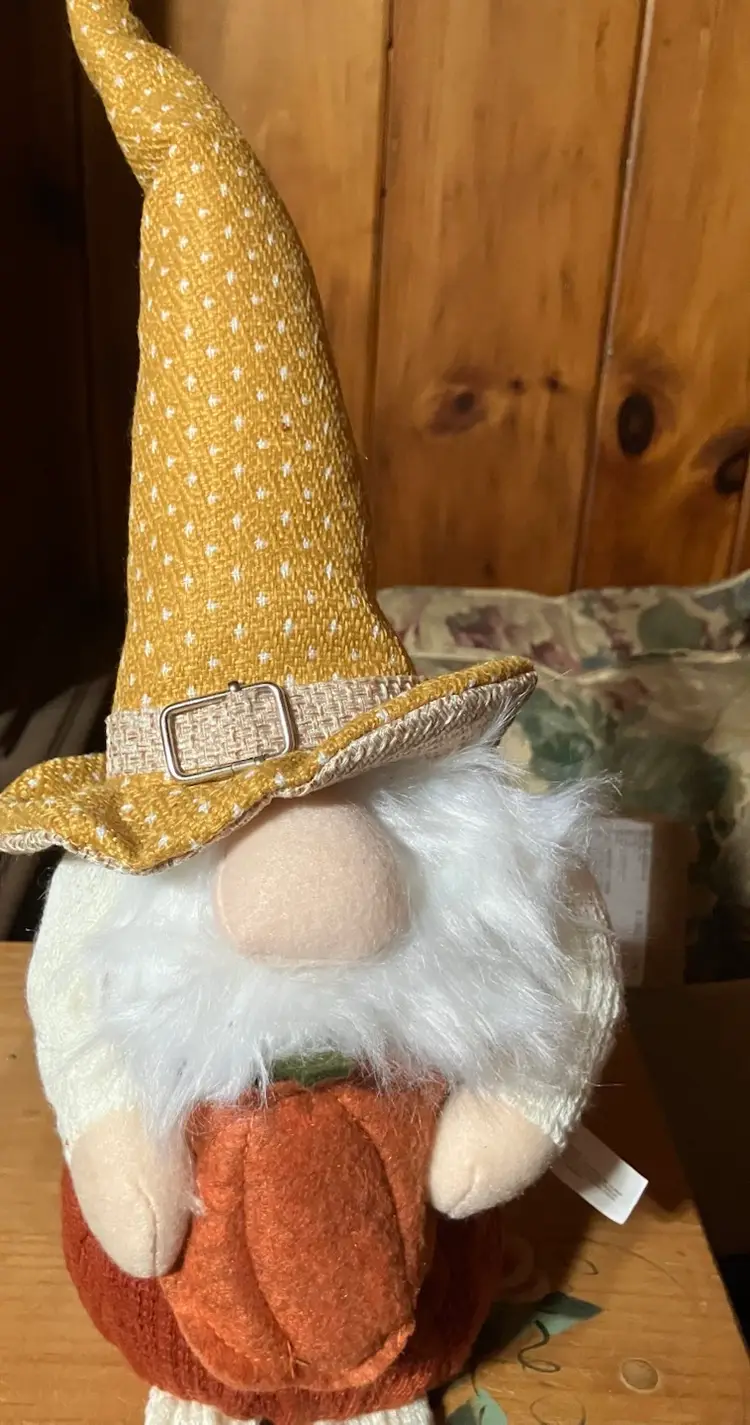 Fall Themed Gnome
