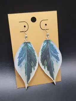 Variegated Polyneura Hoya Earrings
