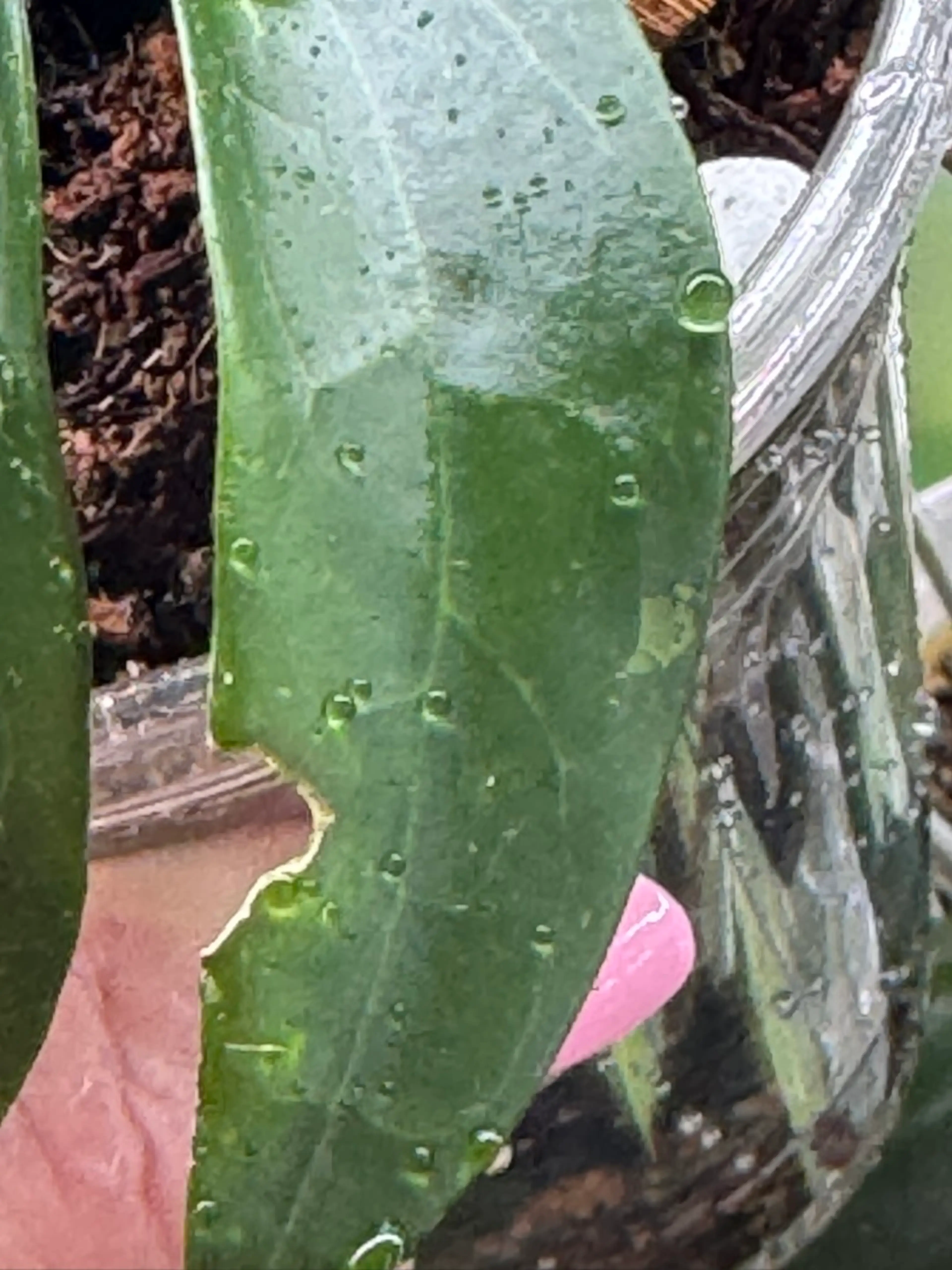 Image 3 of 3